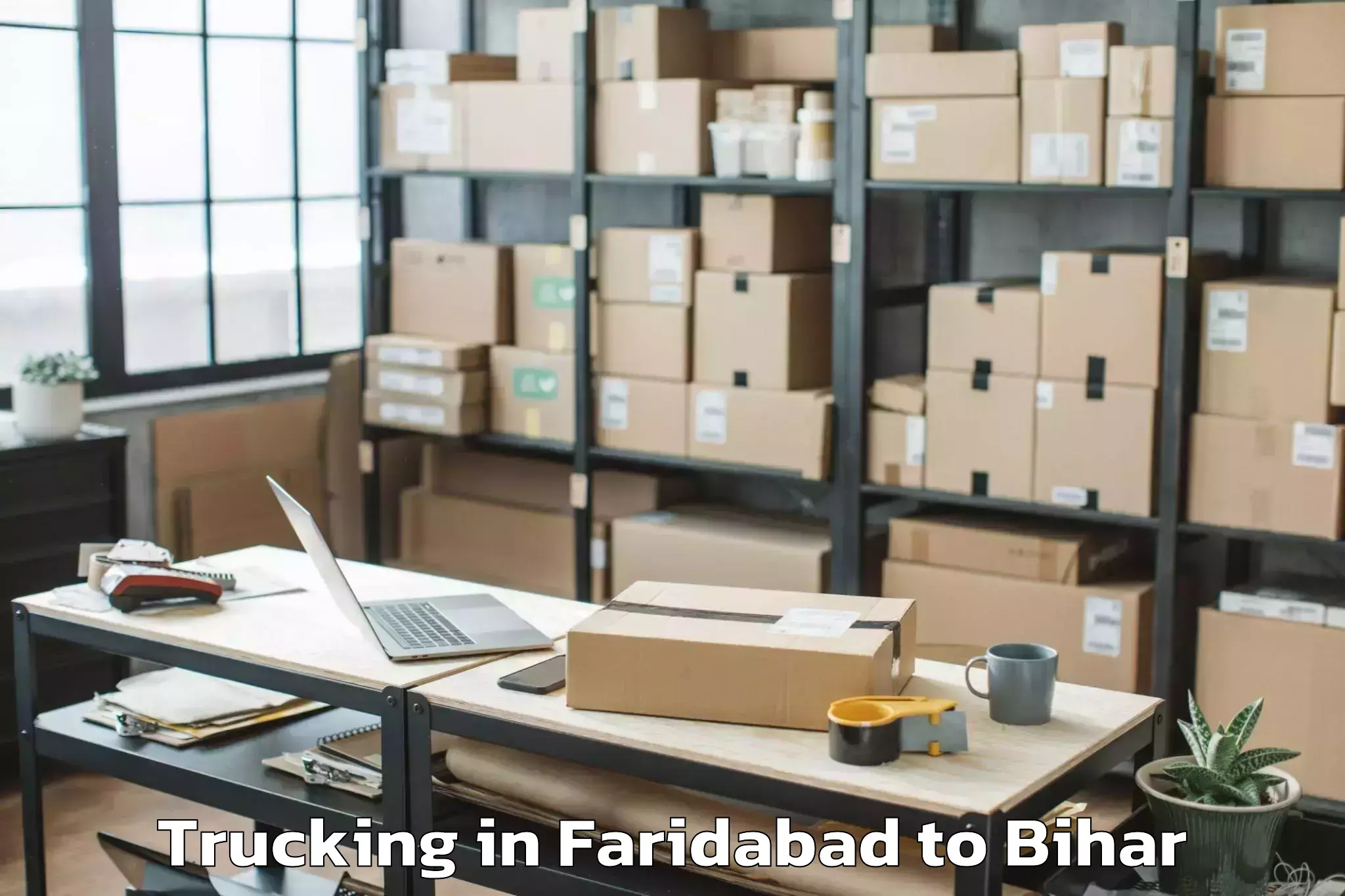 Professional Faridabad to Bathnaha Trucking